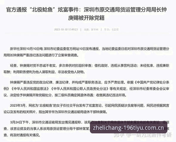 196体育平台国内访问全解析：从登录到数据中心的实用说明